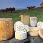 Fromages d'Auvergne