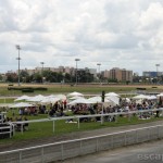 Qualivores (3)