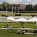 Qualivores (6)