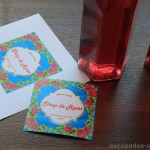 Sirop_de_roses (11)