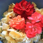 Sirop_de_roses (2)