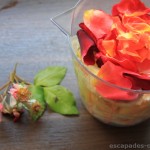 Sirop_de_roses (4)