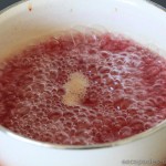 Sirop_de_roses (9)